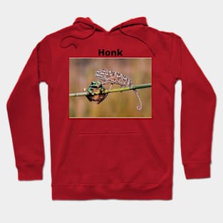 Honk Hoodie